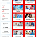 Poster 2 - The Academic Network - Bridging Gaps in Nursing Education