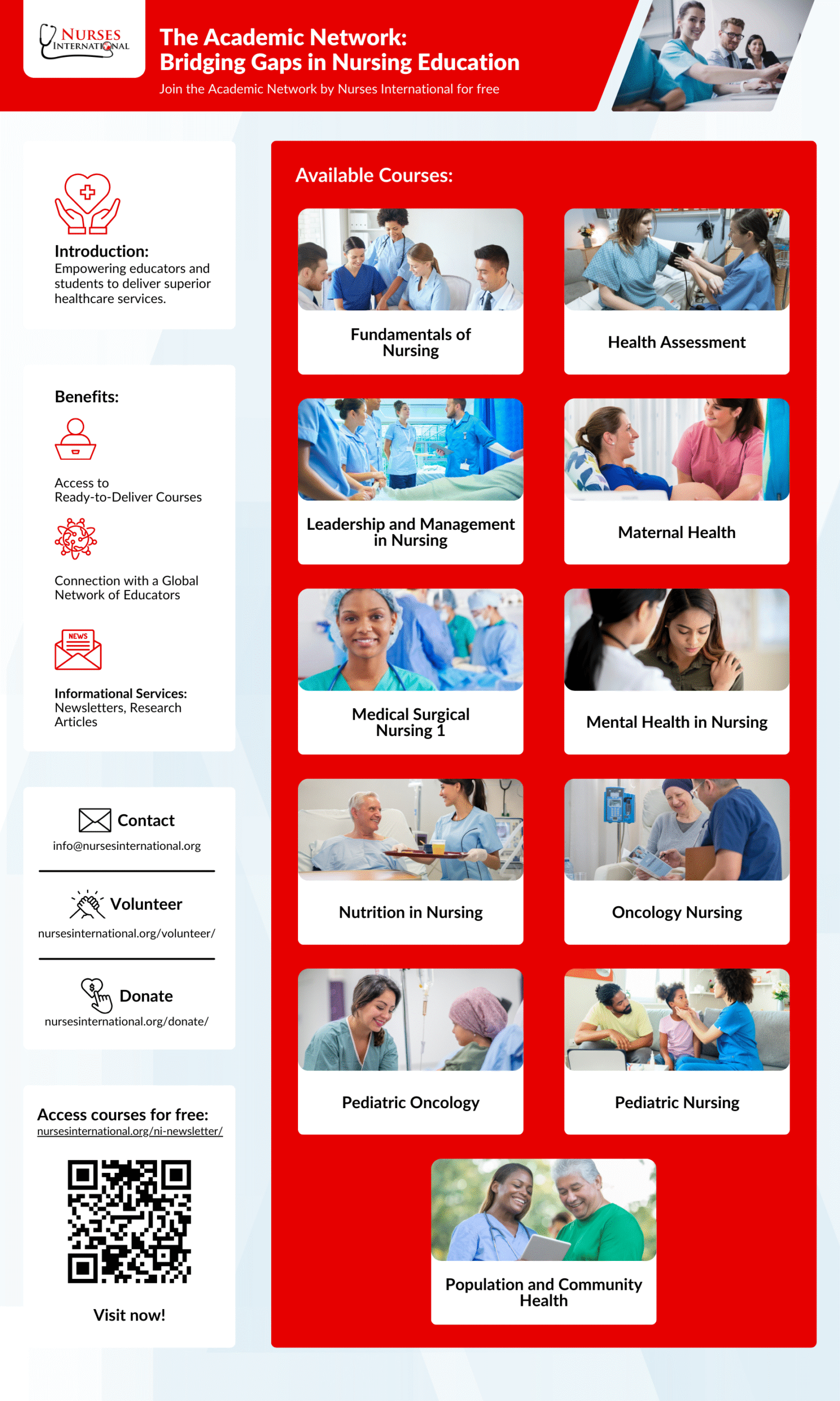 Poster 2 - The Academic Network - Bridging Gaps in Nursing Education